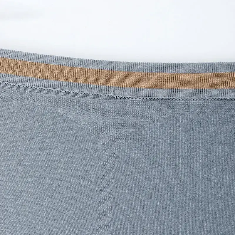 Men's Panties Seamless Breathable Mid Waist Traceless High Elastic Male Underpants Nylon Underwear Comfortable Boxers