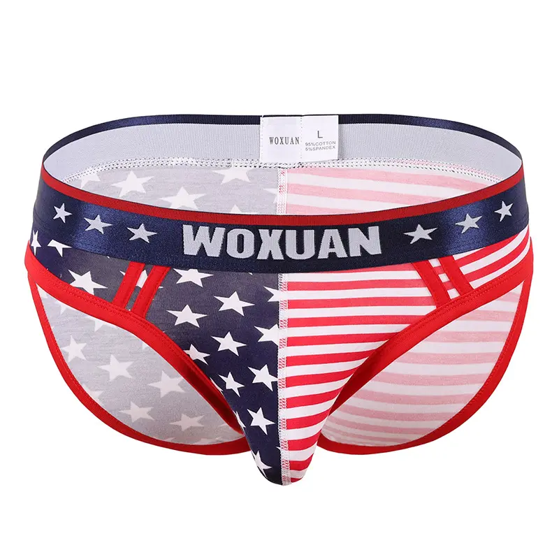 Sexy Mens Briefs Jockstrap Slips Hombre Underwear American Flag Stripe Printed Thong G-String Gay Panties Boxershorts