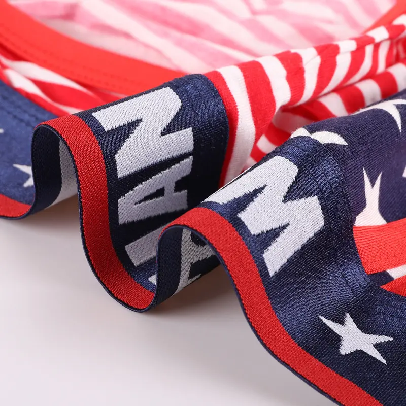 Sexy Mens Briefs Jockstrap Slips Hombre Underwear American Flag Stripe Printed Thong G-String Gay Panties Boxershorts