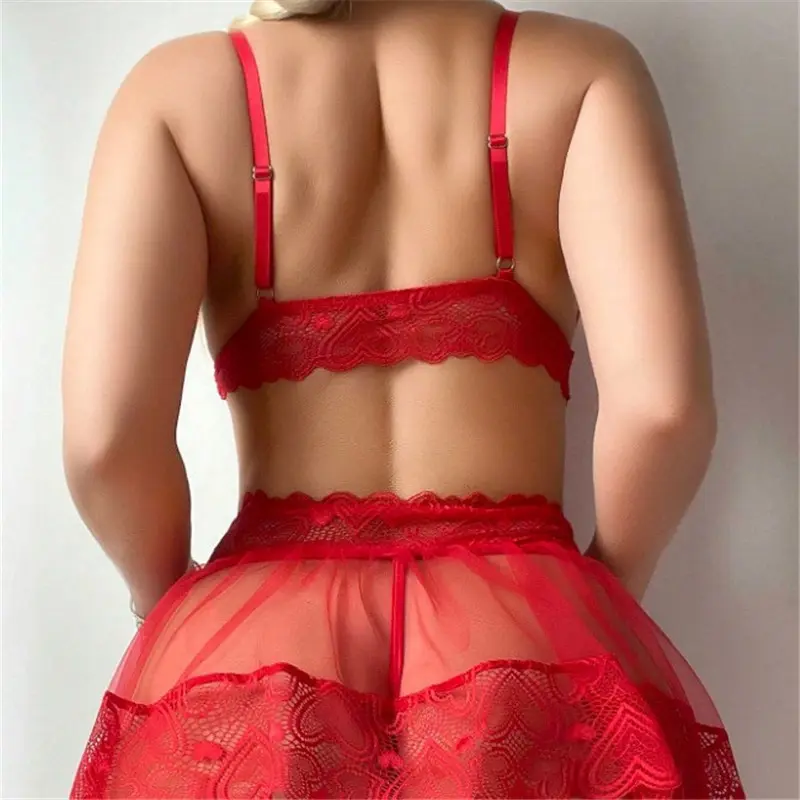 Women Sheer Lingerie Set Lace Mesh Cute Bows Bra and Elastic Thong Skirt Set for Naughty Babydoll Sleepwear