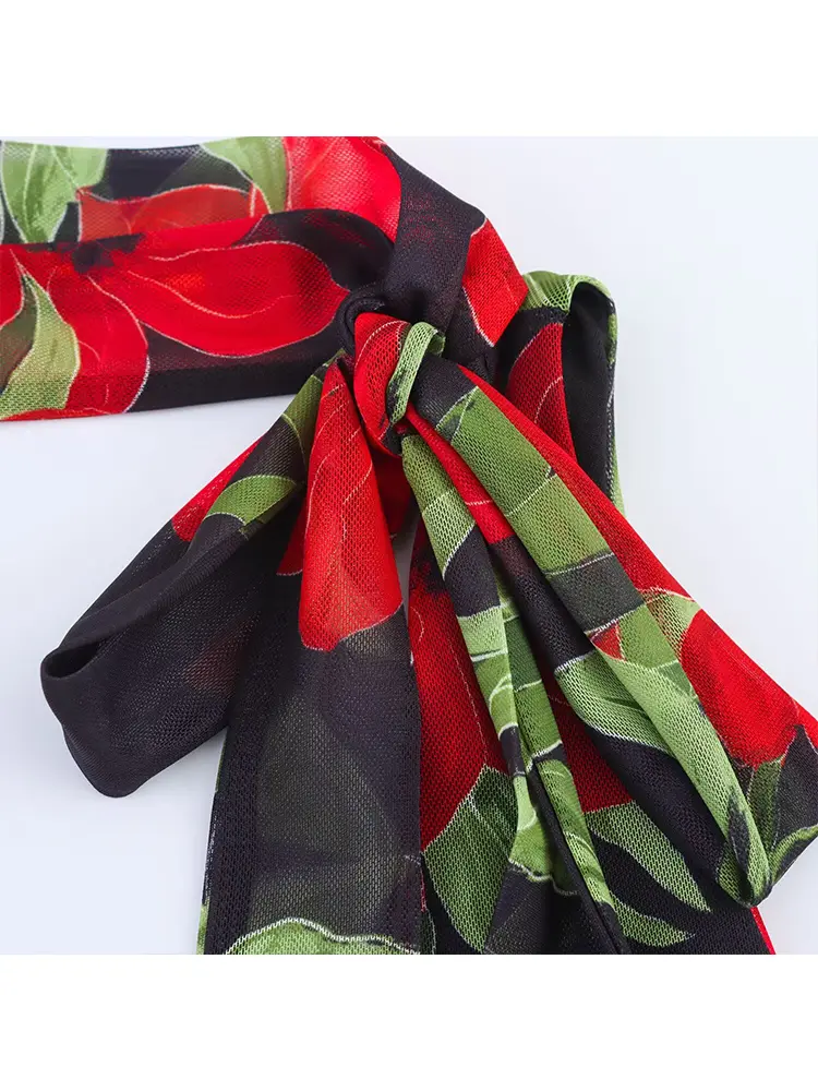 TFMLN New Women's Floral Print Long Dress Sexy V-neck Sleeveless Slim Mesh Scarf Decoration Dresses Female 2025 Summer Elegant