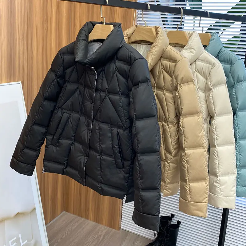 Janveny 2025 New Autumn Winter Lightweight Puffer Jacket Women Long Sleeve Single Breasted Duck Down Coat Female Short Parkas