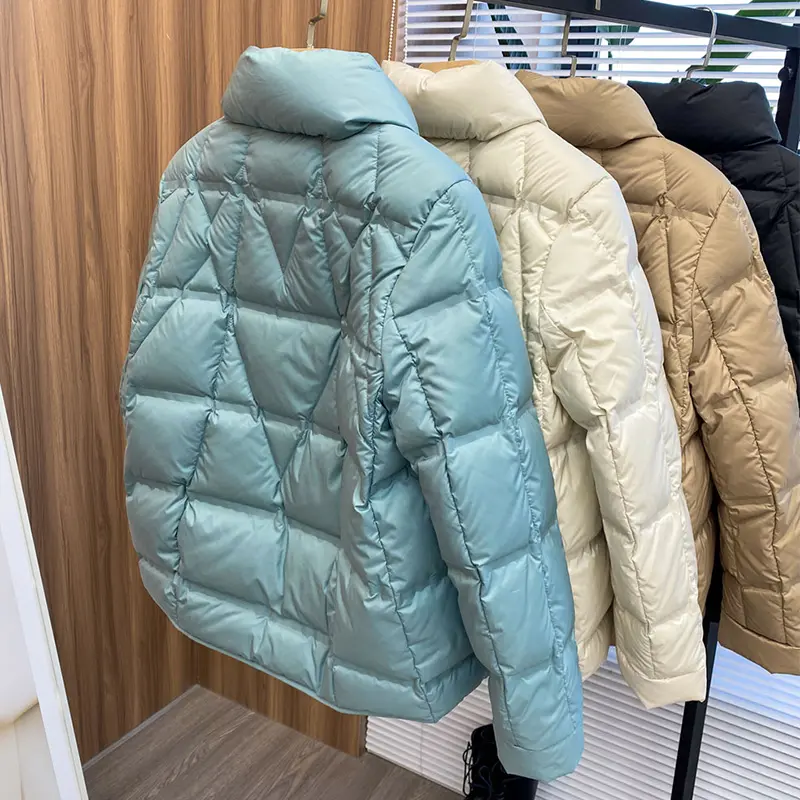Janveny 2025 New Autumn Winter Lightweight Puffer Jacket Women Long Sleeve Single Breasted Duck Down Coat Female Short Parkas
