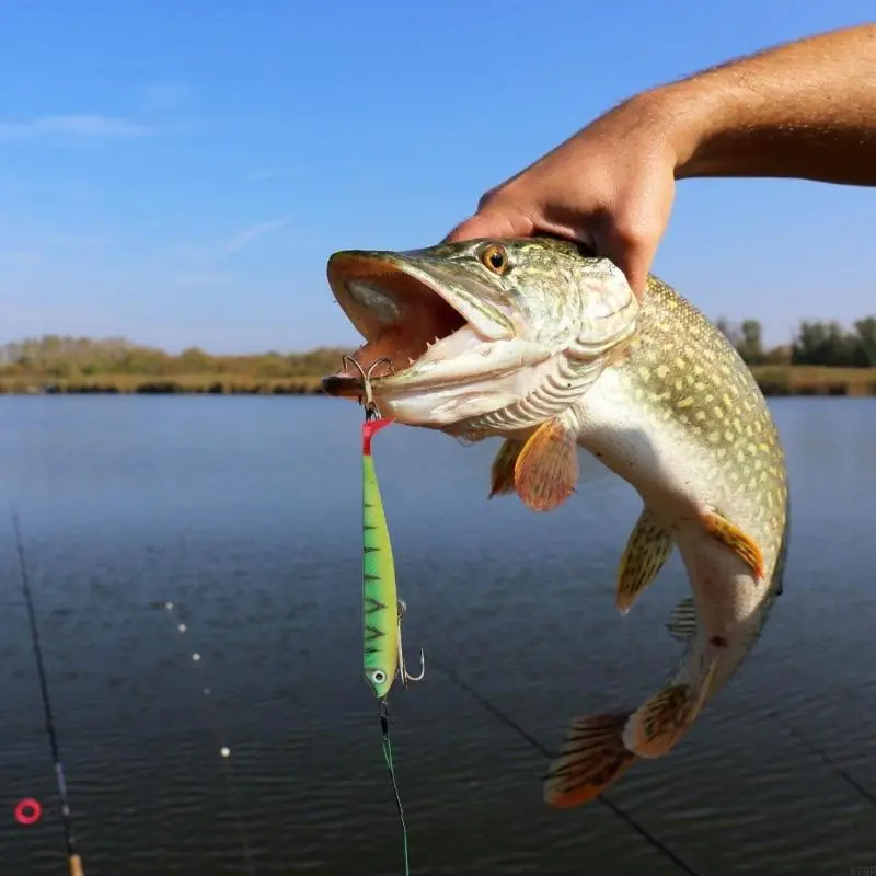Fishing Lures Paddle Tail Swimbait for Trout T Tail Baits Fishing Lures Baits