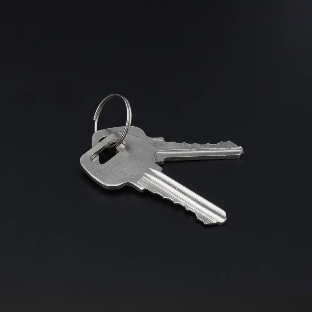 2pcs Titanium Ring 20mm Keyring EDC Outdoor Tool Titanium Linear Key Ring