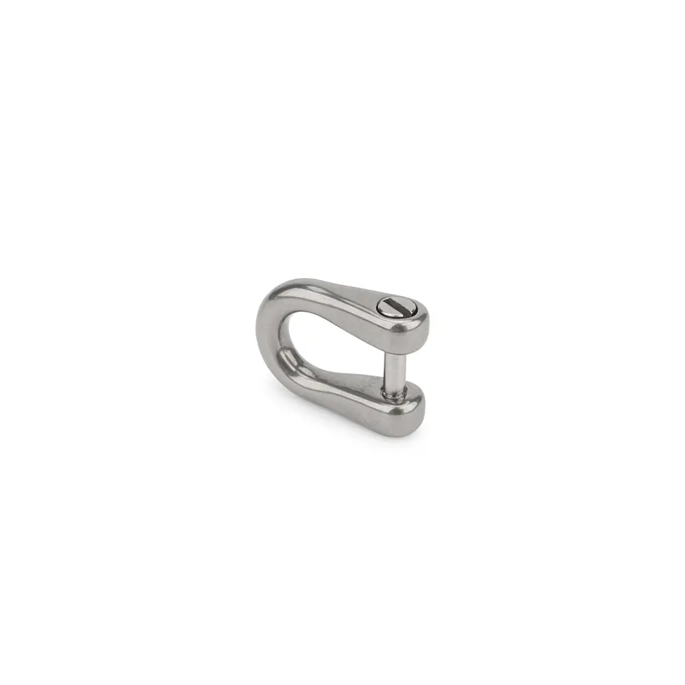 Wholesale Small Titanium Alloy D Shape Horseshoe Buckle Car Key Chain Buckle Outdoor EDC Tool