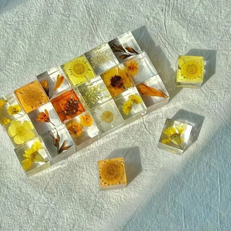 5/10/20Pcs 3D Specimen Plant Squares Handmade Desk Decoration DIY Eternal Flower Creative Plant Gift Ornament Randomly 16MM