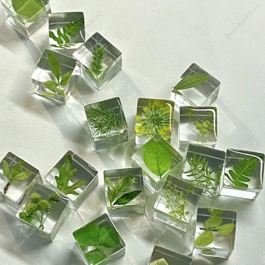 5/10/20Pcs 3D Specimen Plant Squares Handmade Desk Decoration DIY Eternal Flower Creative Plant Gift Ornament Randomly 16MM