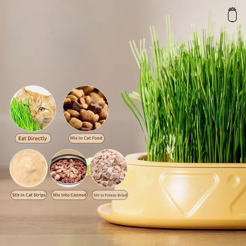 Pineapple Pet Cat Sprout Dish Growing Pot Hydroponic Plant Cat Grass Germination Digestion Starter Dish Greenhouse Grow Box