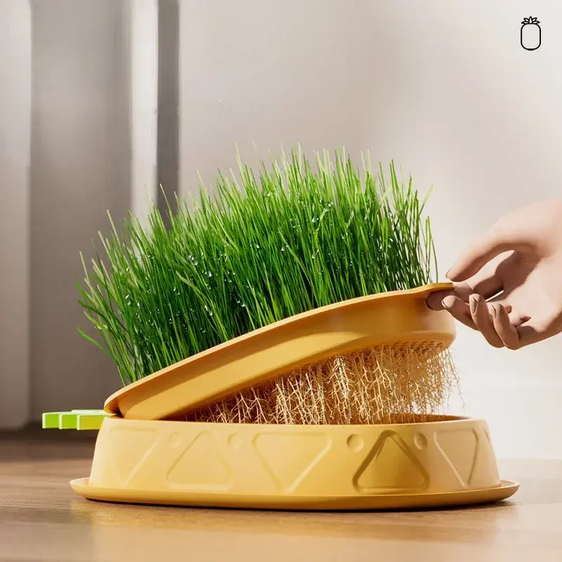 Pineapple Pet Cat Sprout Dish Growing Pot Hydroponic Plant Cat Grass Germination Digestion Starter Dish Greenhouse Grow Box