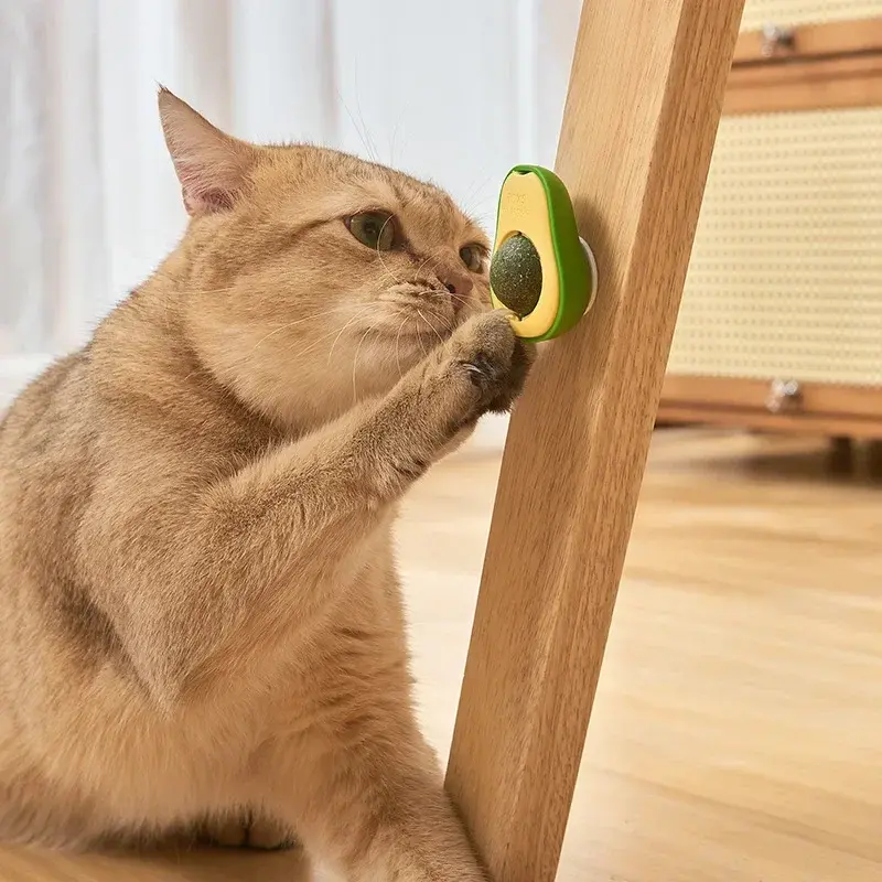Aocado Catnip Fruit Catnip Bile Fruit Polygonum Wood Insect Gall Fruit Licking Music From Hi Catnip Chewing Cleaning Teeth Toy