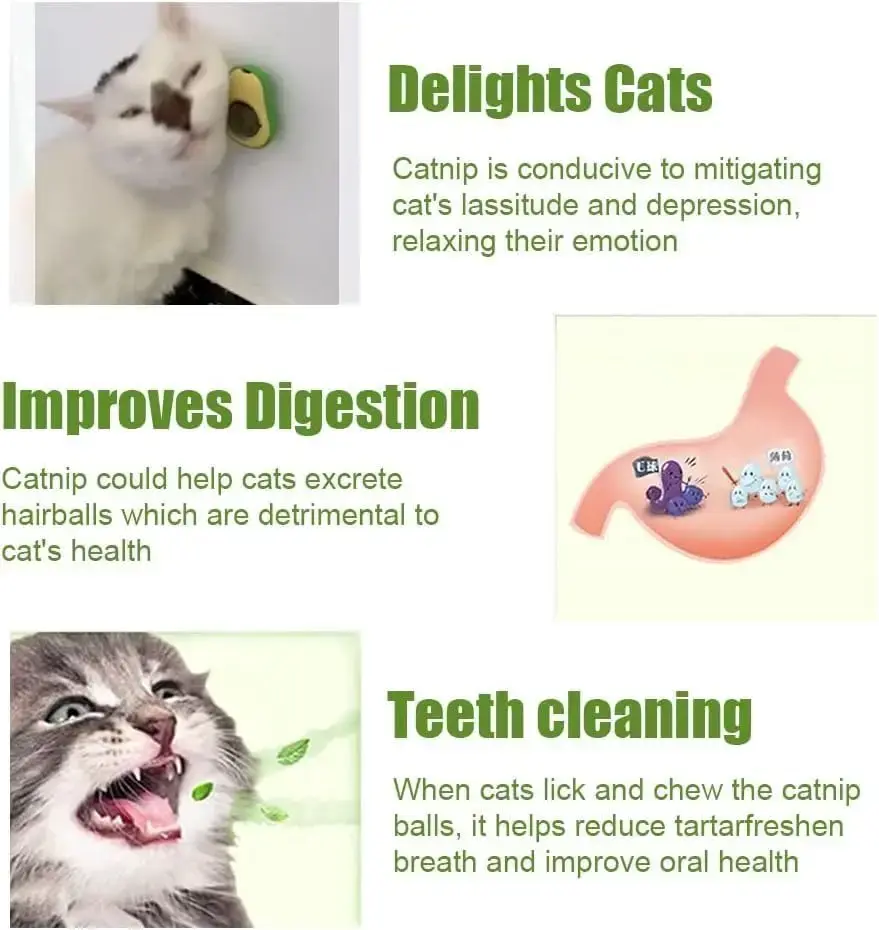 Aocado Catnip Fruit Catnip Bile Fruit Polygonum Wood Insect Gall Fruit Licking Music From Hi Catnip Chewing Cleaning Teeth Toy