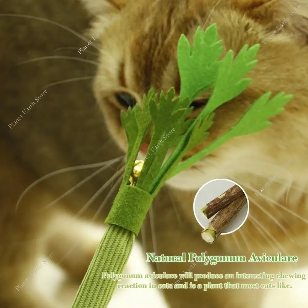 1/2Pcs Simulation Onion & Celery Cat Toys Creative Cute Shape Interactive Cleaning Teeth Kitty Toys 2025 New 22-24CM