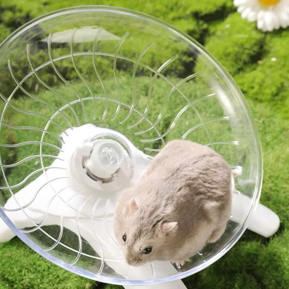 Small Pet Silent Running Practice Wheel Pet Hamster Running Wheel Hamster Mouse Hedgehog Parrot Ideal Choic Small Animal Toy