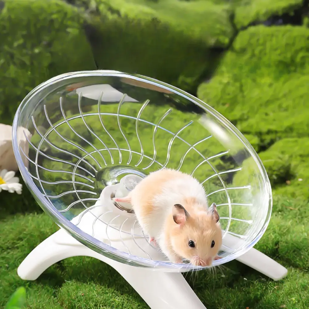 Small Pet Silent Running Practice Wheel Pet Hamster Running Wheel Hamster Mouse Hedgehog Parrot Ideal Choic Small Animal Toy