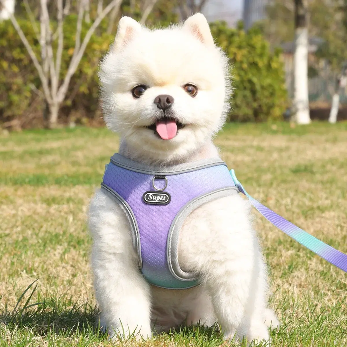 1Pcs Pet Step-in Dog Harness Adjustable Reflective Soft Dog Harness Breathable Dog Vest Harness for Small Medium Dog Cats Puppy