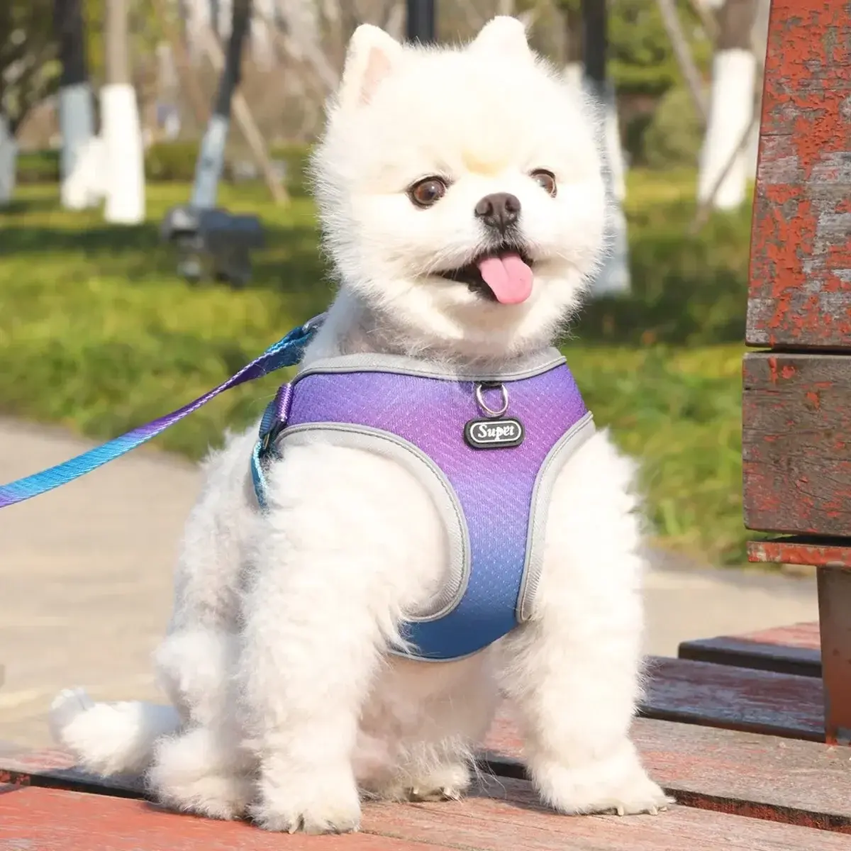 1Pcs Pet Step-in Dog Harness Adjustable Reflective Soft Dog Harness Breathable Dog Vest Harness for Small Medium Dog Cats Puppy