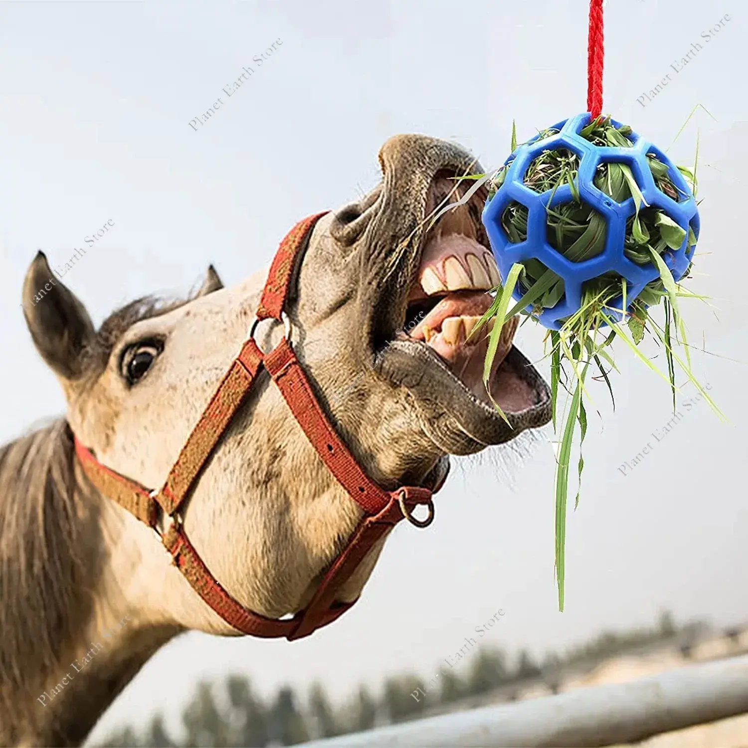 2025 Horse Treat Ball Hay Feeder Toy Ball Hanging Feeding to Horse Sheep Tortoise Feeding Dispenser Relieve Stress Foraging Toy