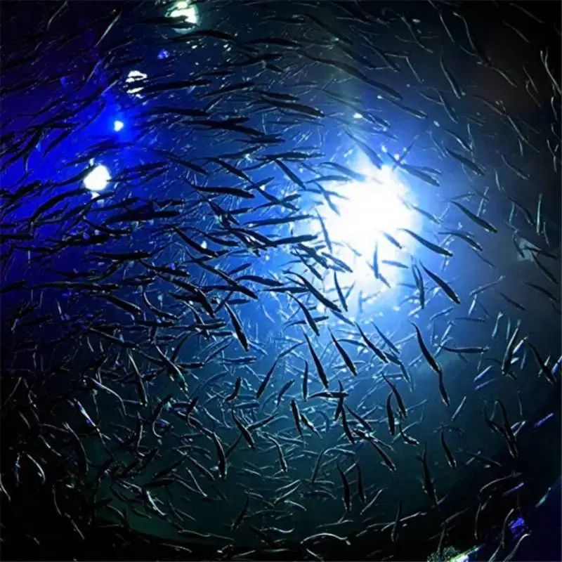 Mini Underwater Electronic Fishing Light Fish Attraction Lamp Lure LED Flashing Fishing Light Squid Fishing Bait Lures