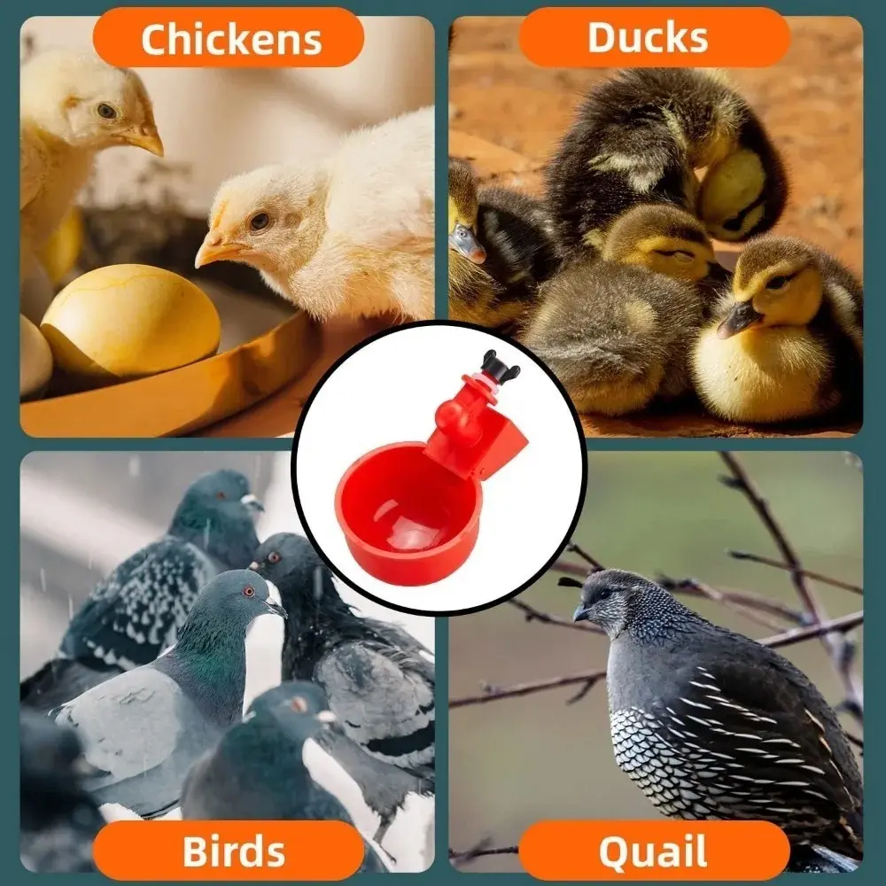 6-36PCS Automatic Chicken Feeding and Drink Cup Plastic Automatic Water Outlet Installation Convenient for Poultry Water Feeder