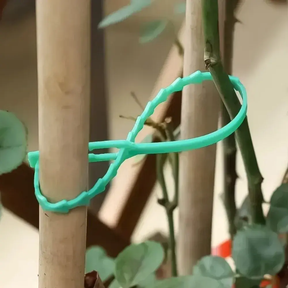 1000-20PCS Garden Cable Ties Reusable Self-locking Zipper Zip Ties Used for Garden Plant Climbing Support Clip Plant Accessories