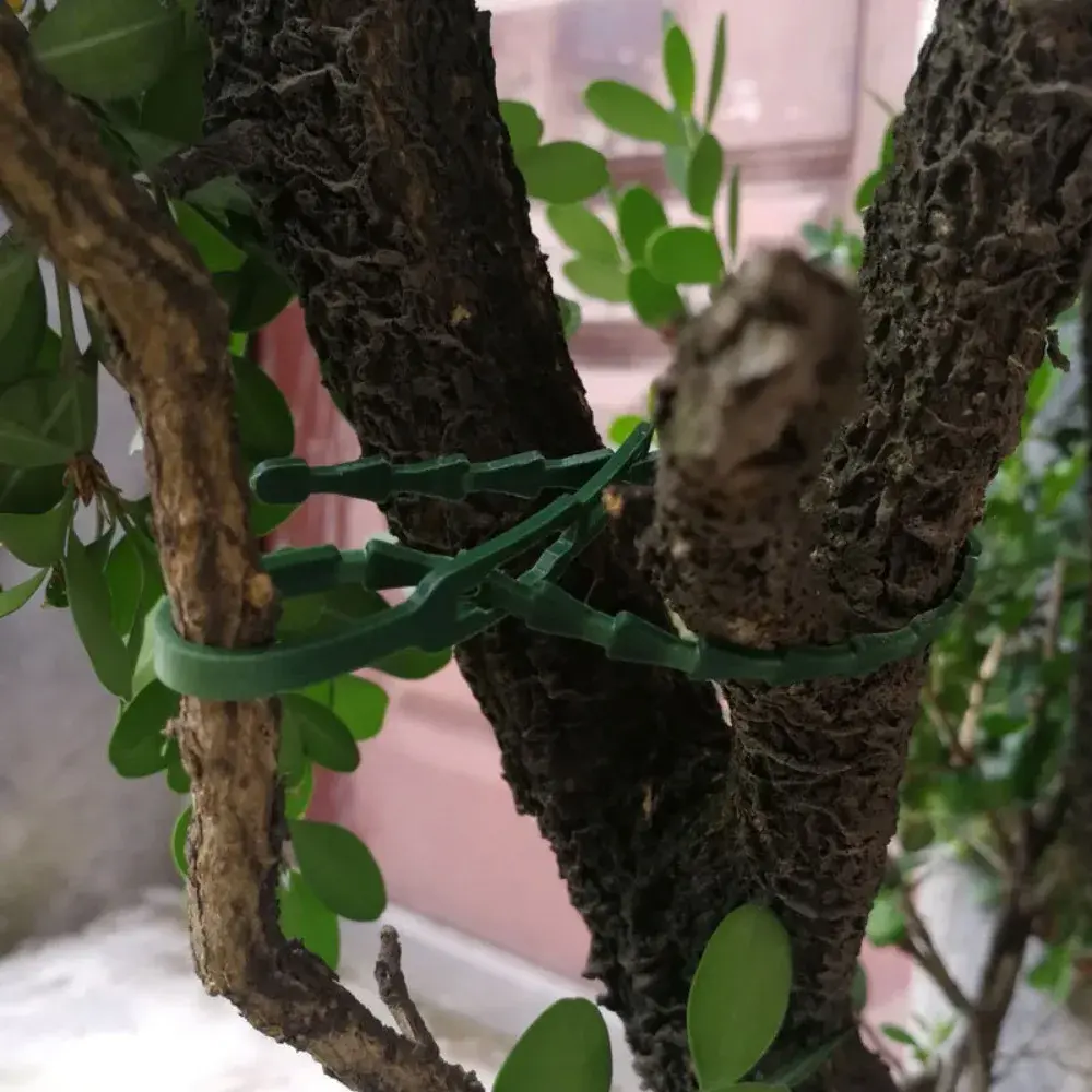 1000-20PCS Garden Cable Ties Reusable Self-locking Zipper Zip Ties Used for Garden Plant Climbing Support Clip Plant Accessories