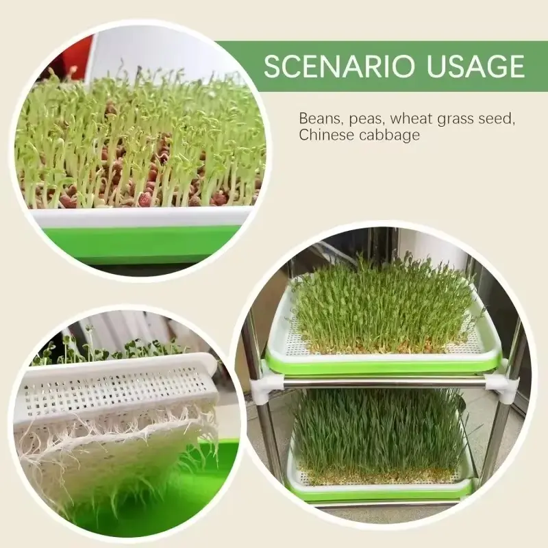 1set prout Sprout Pot Sprout Vegetable Seedling Tray Soilless Cultivation Hydroponic Equipment Pea Planting Sprout Bean Seedling