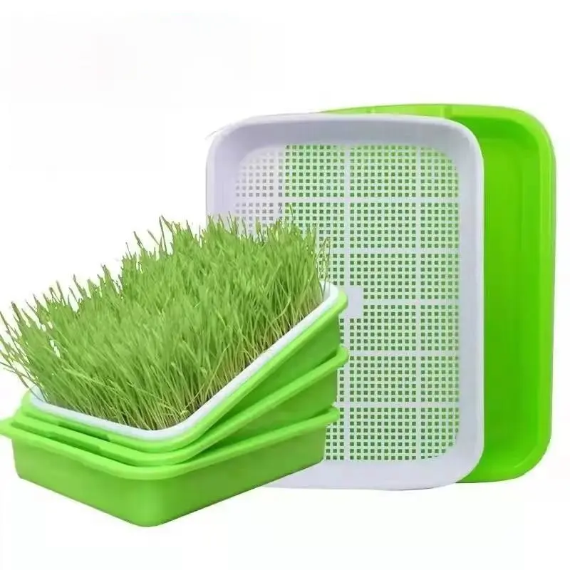1set prout Sprout Pot Sprout Vegetable Seedling Tray Soilless Cultivation Hydroponic Equipment Pea Planting Sprout Bean Seedling