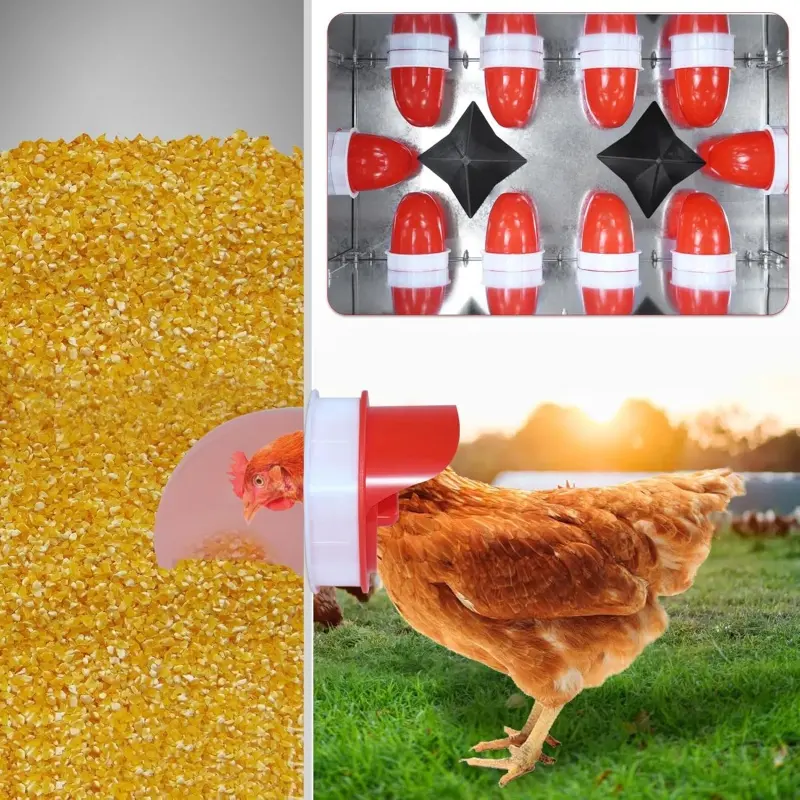 Chicken Feeder DIY Rainproof Poultry Automatic Gravity Feeder Port Reduce Spillage Food Farm Chicken Duck Food Hole Opener Tool