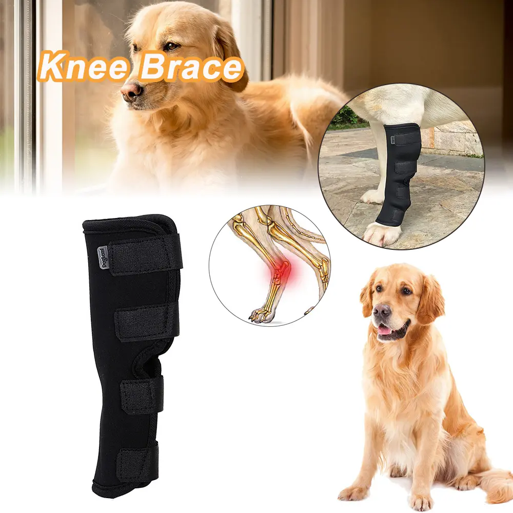 Recover Legs 1 Pcs Dog Support Brace Joint Wrap Dog Legs Protector Puppy  Kneepad Pet Knee Pads Dog Wrist Guard Dog Supplies