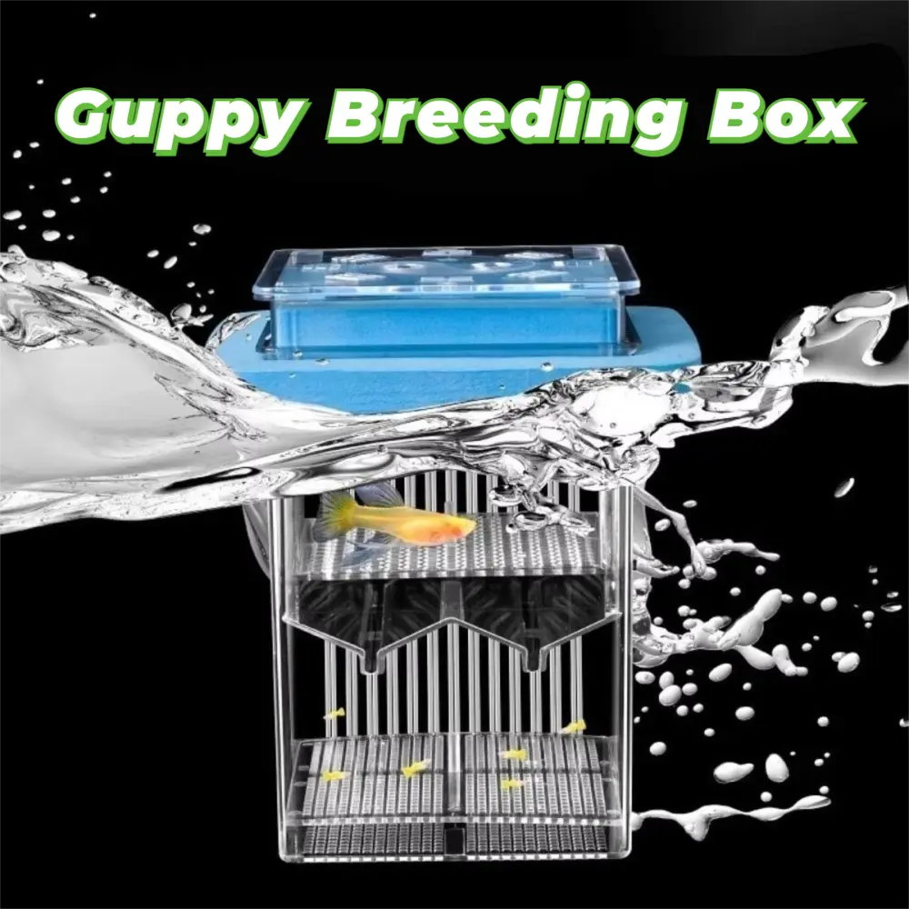 Transparent Guppy Breeder Box Detachable Permeable Aquatic Life Hatchery Prevent Escape Fish Tank Divider For Small Fish