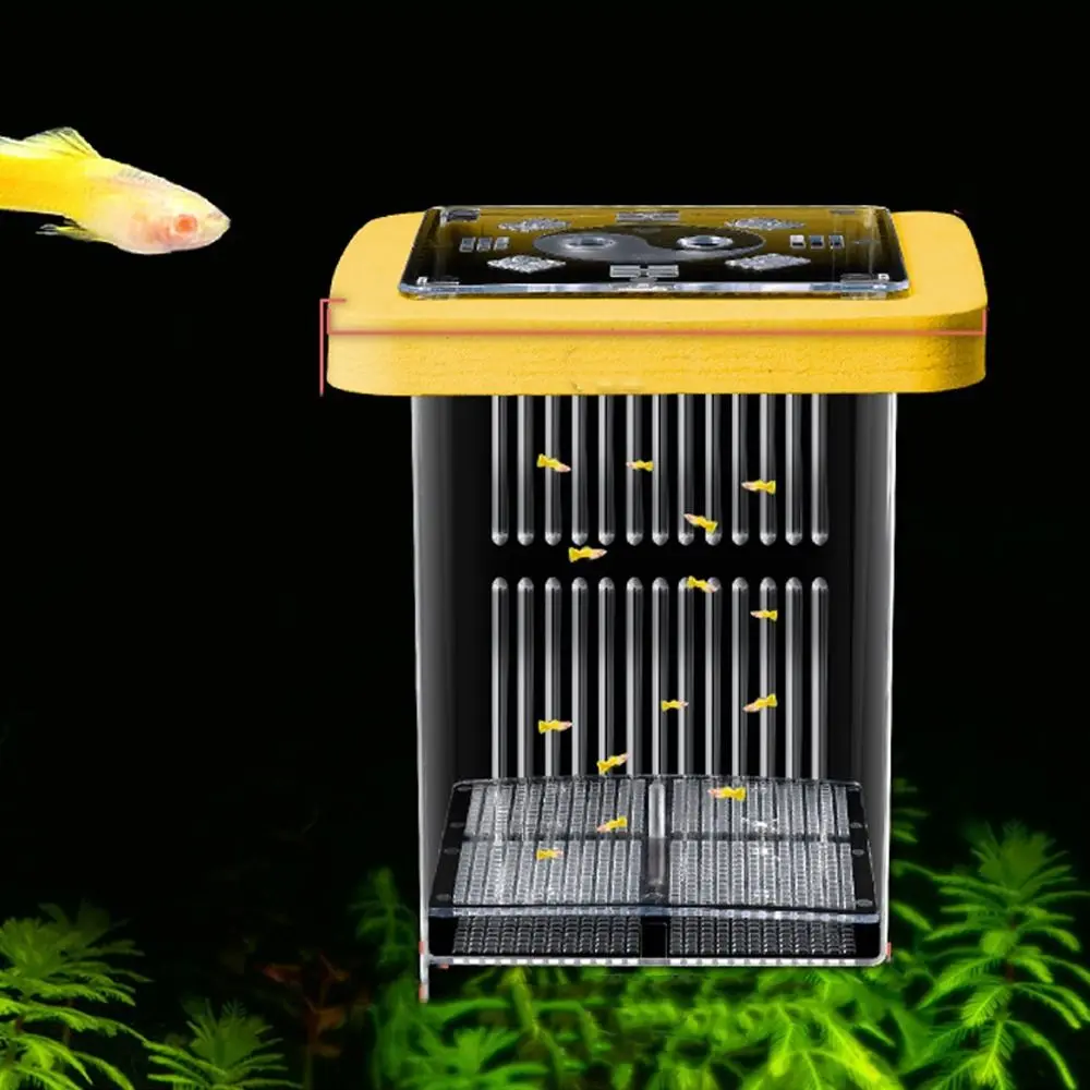Transparent Guppy Breeder Box Detachable Permeable Aquatic Life Hatchery Prevent Escape Fish Tank Divider For Small Fish