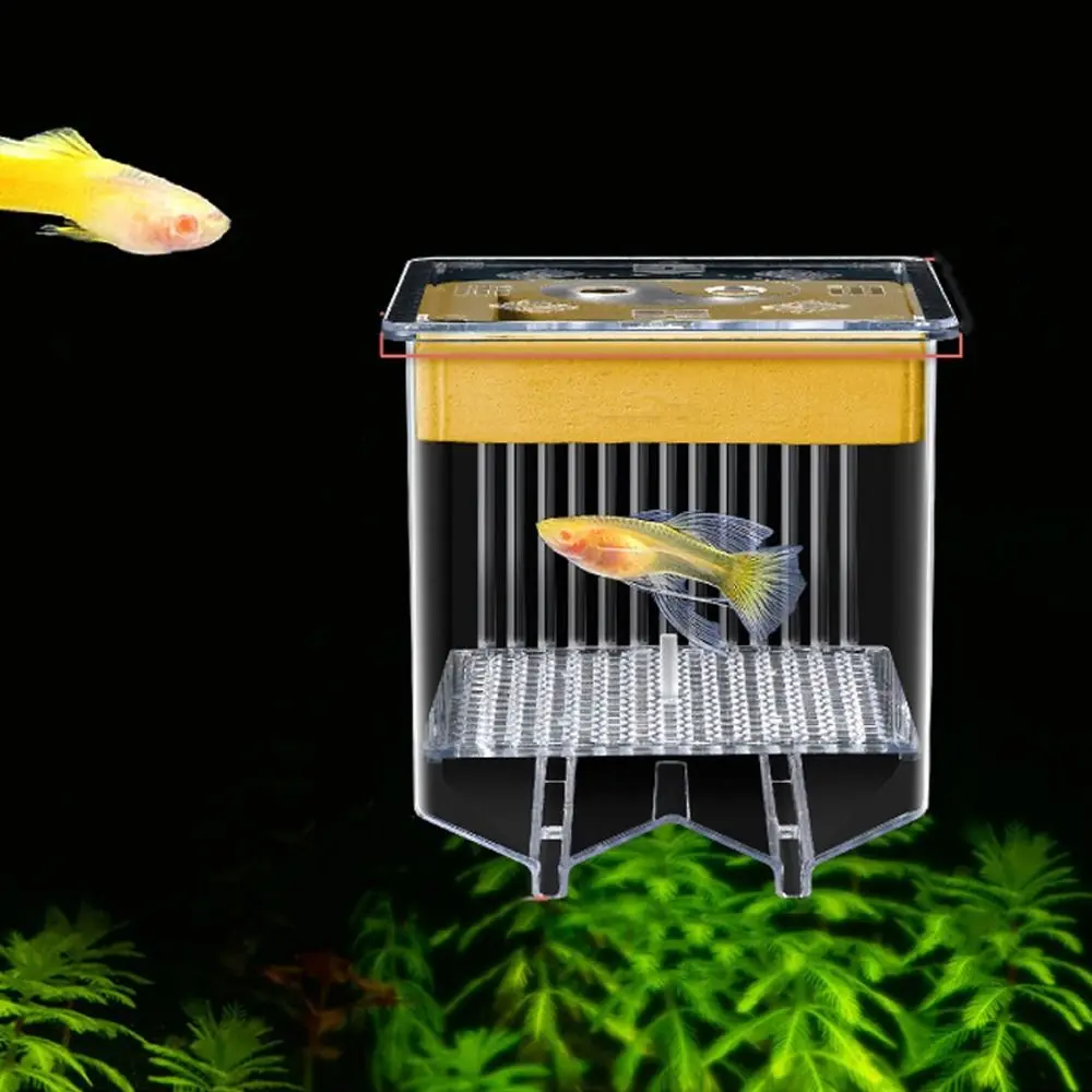 Transparent Guppy Breeder Box Detachable Permeable Aquatic Life Hatchery Prevent Escape Fish Tank Divider For Small Fish