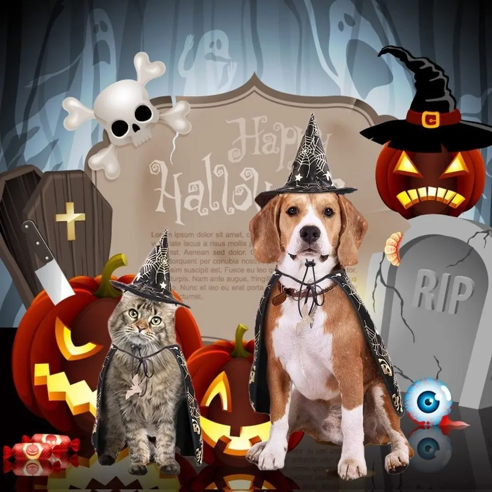 Cool Pumpkin Pet Halloween Costumes Cape Bat Soft Cats Cosplay Clothes Black Adjustable Halloween Dog Cloak Hat Dogs
