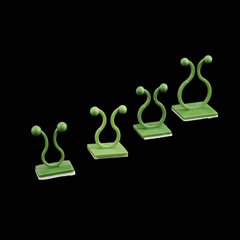 Cages Sticky Fixed Holder Hook Plant Climbing Wall Clip Wall Rattan Clamp Wall Vines Fixture Plant Stent Support