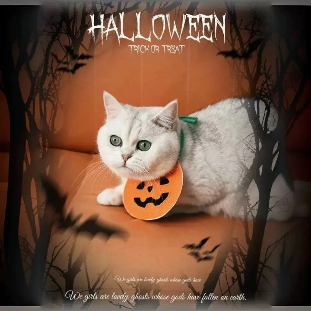 Cute Ghost Halloween Pet Bib Comfortable To Wear Adjustable Pumpkin Dog Scarf Soft Knitted Kitty Saliva Towel Puppy