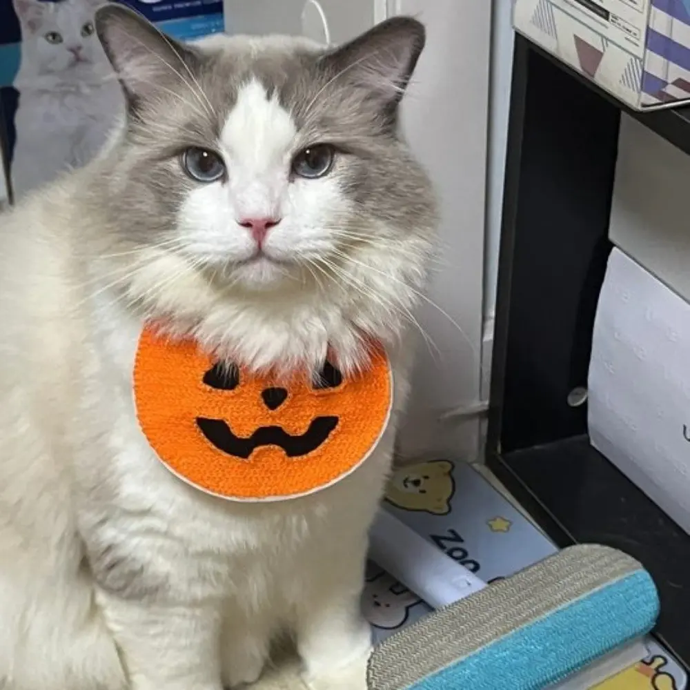 Cute Ghost Halloween Pet Bib Comfortable To Wear Adjustable Pumpkin Dog Scarf Soft Knitted Kitty Saliva Towel Puppy