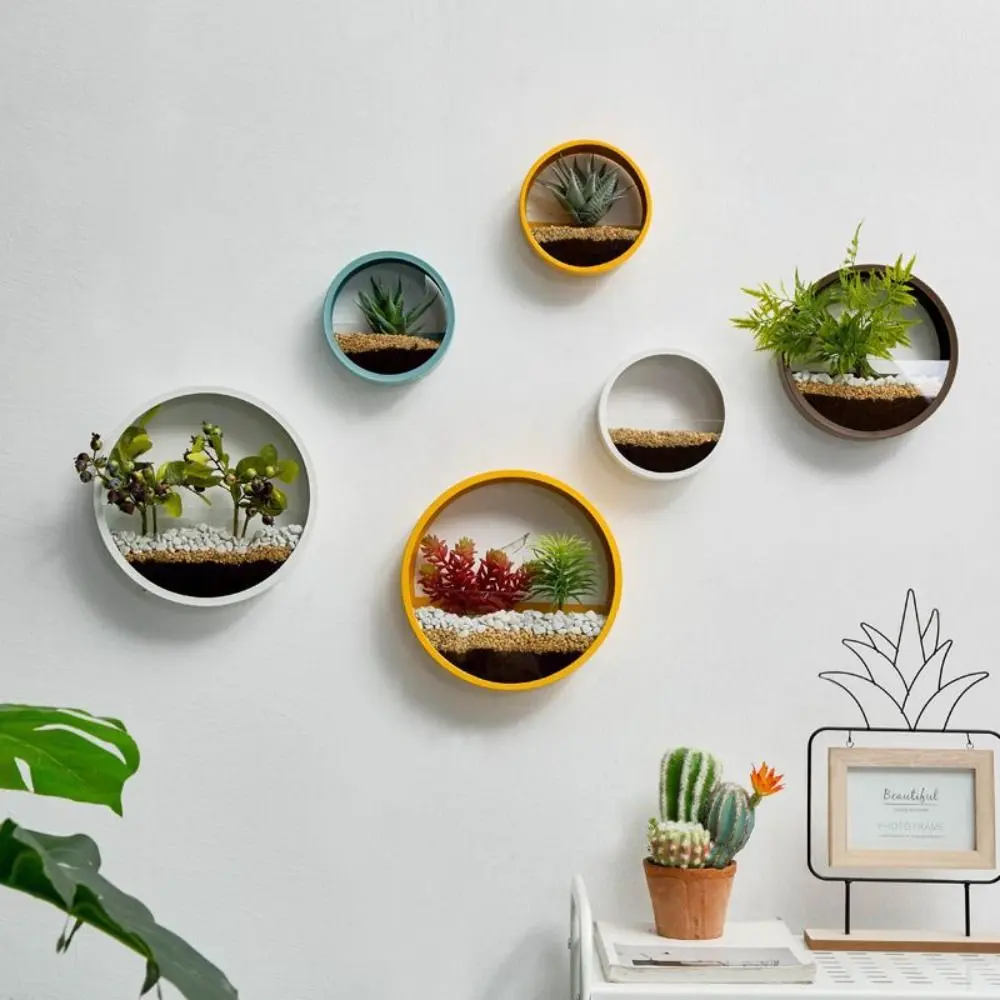 Wall-mounted Wall Decoration No Punching Indoor Green Dill Hydroponic Vase Flower Pot Ornaments Plant Container Flowerpot