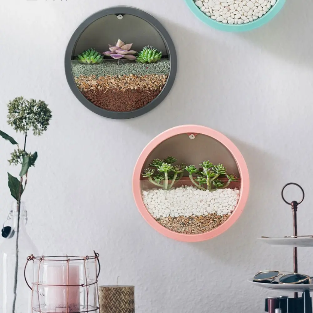 Wall-mounted Wall Decoration No Punching Indoor Green Dill Hydroponic Vase Flower Pot Ornaments Plant Container Flowerpot