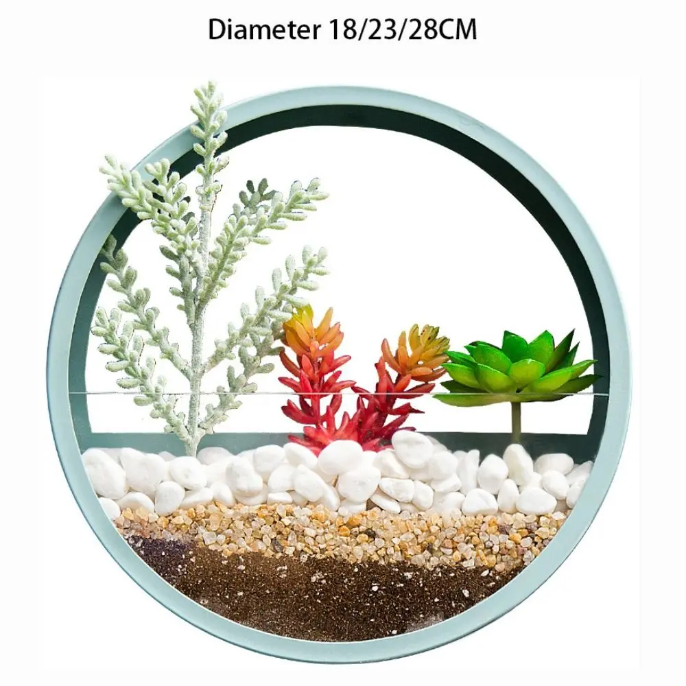 Wall-mounted Wall Decoration No Punching Indoor Green Dill Hydroponic Vase Flower Pot Ornaments Plant Container Flowerpot