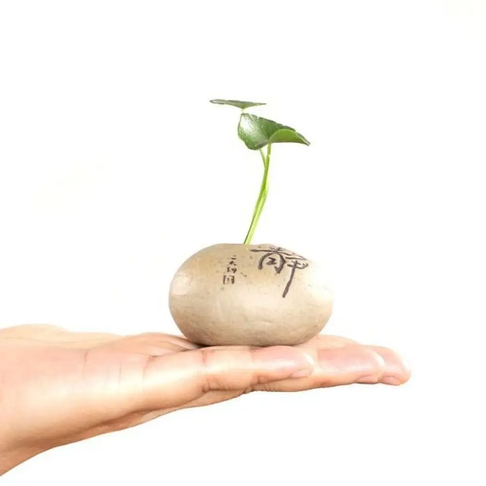 Japanese Style Rough Stone Shape Vase Ceramic Handmade Ceramic Zen Hydroponic Vase Mini Desktop Small Vase Furnishings