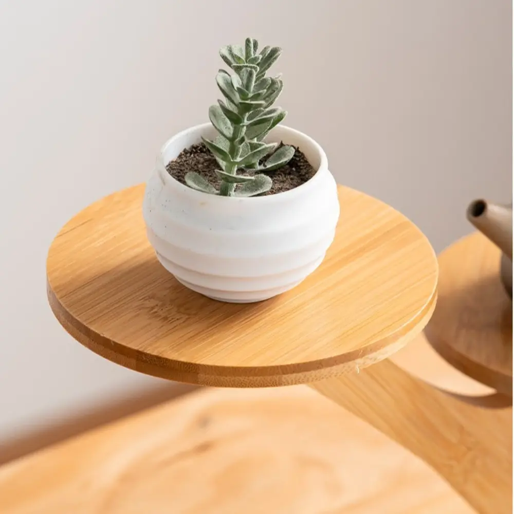 Bamboo Shelf Desktop Flower Rack Multi-layer Home Decoration Desktop Plants Stand Tree Branch shape Flower Storage