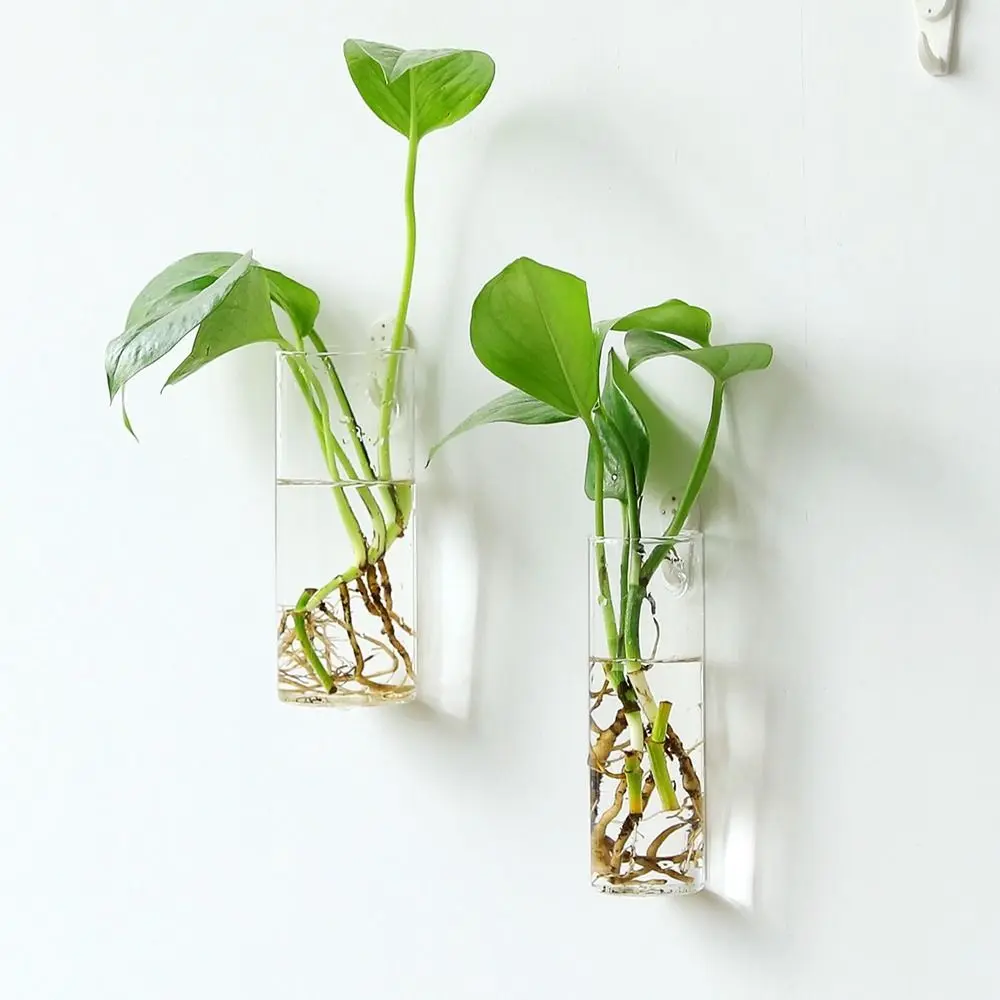 Purify House Home Decorations Glass Crafts Fish Tank Irregular Shape Flower Vase Plant Container Flower Pot Hydroponic Vase