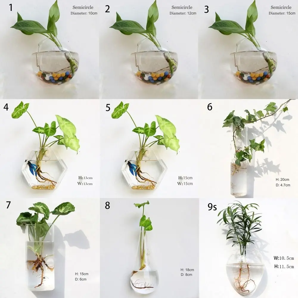 Purify House Home Decorations Glass Crafts Fish Tank Irregular Shape Flower Vase Plant Container Flower Pot Hydroponic Vase