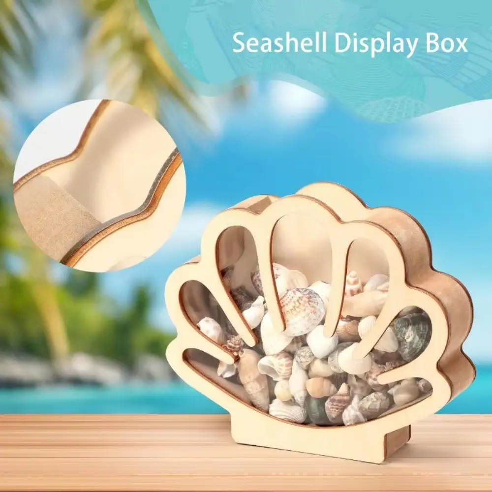 Creative Stable Shell Storage Box Unique Exquisit Stones Storage Holder Wooden Display Box Trinket Storage