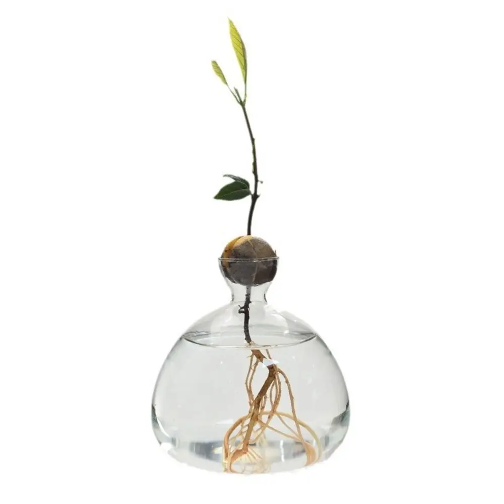 Heat Resistant Japanese Hydroponic Vase Transparent High-grade Glass Vase Container Easy to Carry Special Vase Pot Holidays Gift