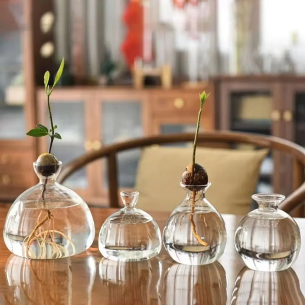 Heat Resistant Japanese Hydroponic Vase Transparent High-grade Glass Vase Container Easy to Carry Special Vase Pot Holidays Gift