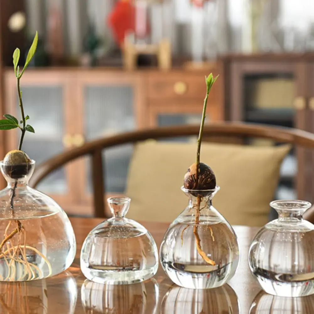 Heat Resistant Japanese Hydroponic Vase Transparent High-grade Glass Vase Container Easy to Carry Special Vase Pot Holidays Gift