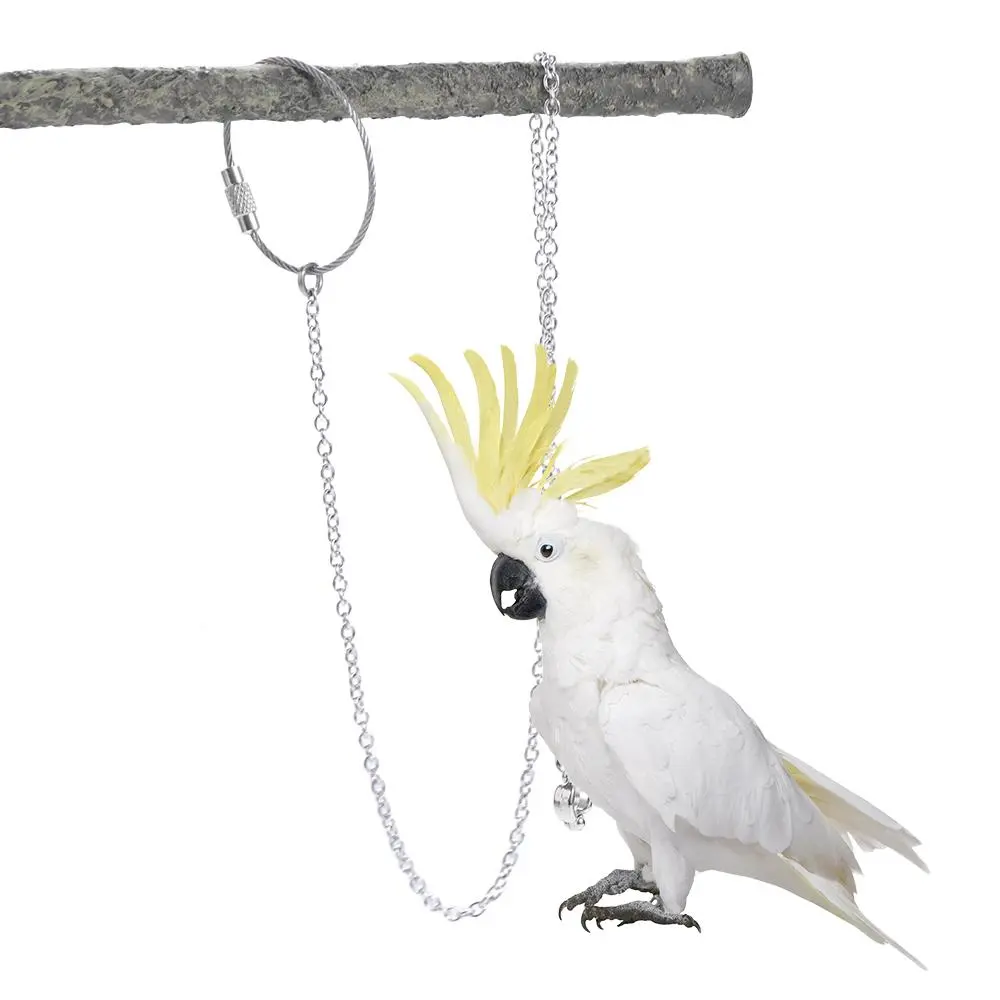 1Pcs Stainless Steel Outdoor Cockatiel Starling Pigeon Parrot Foot Ring Parakeet Foot Chain Bird Stand Ankle Bird Accessories