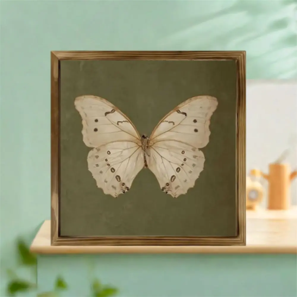 Vintage Butterfly Specimen Photo Frame Personalized Creative Wooden Decorative Painting Modern Simple Picture Frame Posters